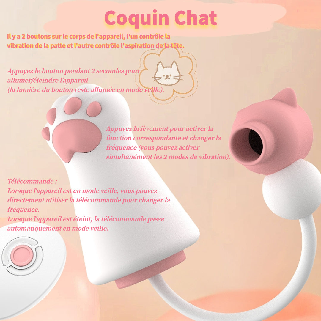 Coquin Chat